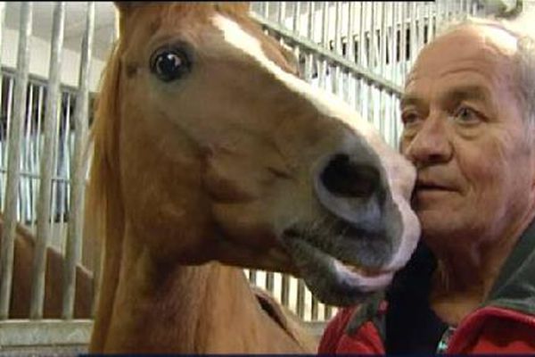 Une grande complicité entre l'animal et l'homme.