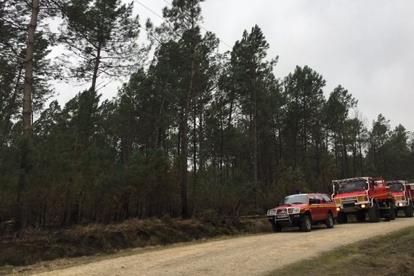 Les pompiers sur zone à Lubbon où 14 hectares ont brûlé