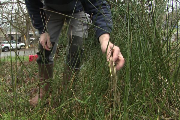 Le ruisseau qui alimentait les champs de Patrice Falip est aujourd'hui totalement à sec.