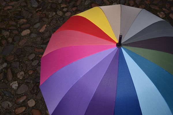 Une pluie de couleurs...