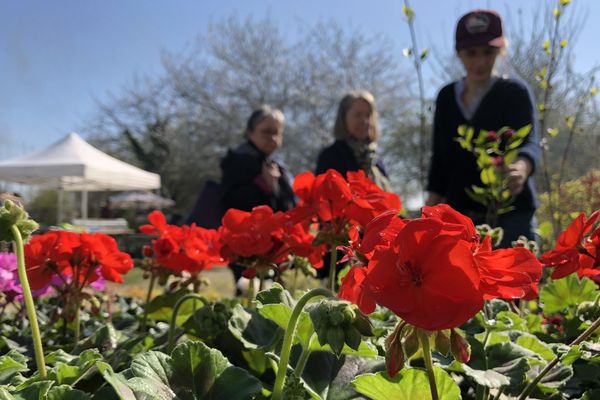 La première édition de la Fête des plantes s'est tenue à l'Écomusée du Perche, samedi 30 et dimanche 31 mars.