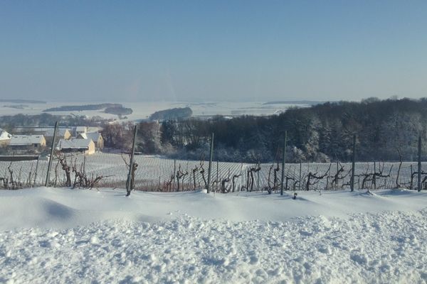 La montagne de Reims sous un manteau blanc