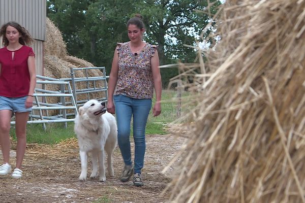 Océane (à droite) et Mallorie Abry (à gauche) sont toutes les deux éleveuses en Puisaye, dans l'Yonne.