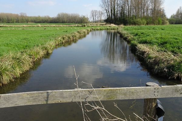 Thiennes, Courant de l'Île