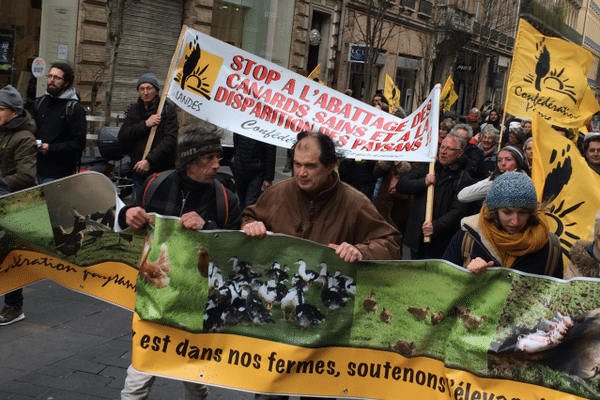 la manifestation dans les rues de Toulouse