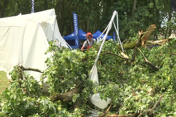 L'arbre, un tilleul, avait plus de 100 ans.