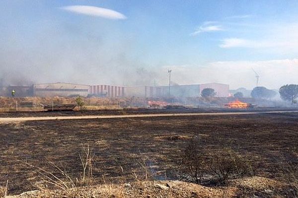 Rivesaltes (Pyrénées-Orientales) - 12 hectares ravagés par les flammes derrière une zone d'activité - 27, juillet 2016.