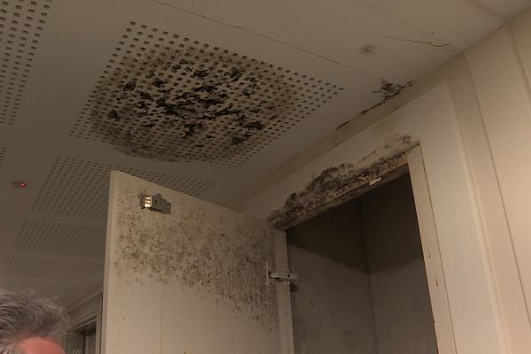 Près de la chaudière le plafond a moisi.