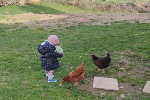 La petite Garence en compagnie de ses poules.