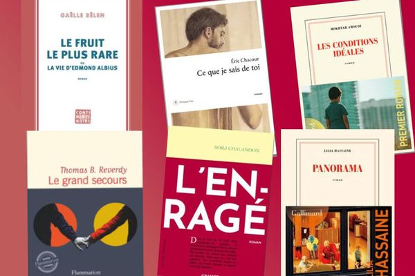 Livres en lice pour le prix Renaudot des lycéens 2023