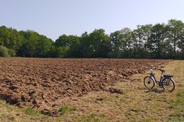 Près du stade, ce terrain de 5000 M2, dont la terre est fraîchement retournée, va accueillir un jardin potager solidaire