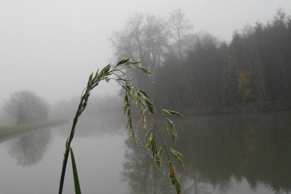 Pont-sur-Sambre, dimanche 30 novembre