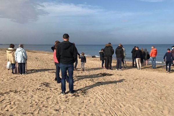 Un jeune phoque a élu domicile sur la plage de Merville-France depuis l'été dernier. Il est devenu, malgré lui, une véritable attraction.