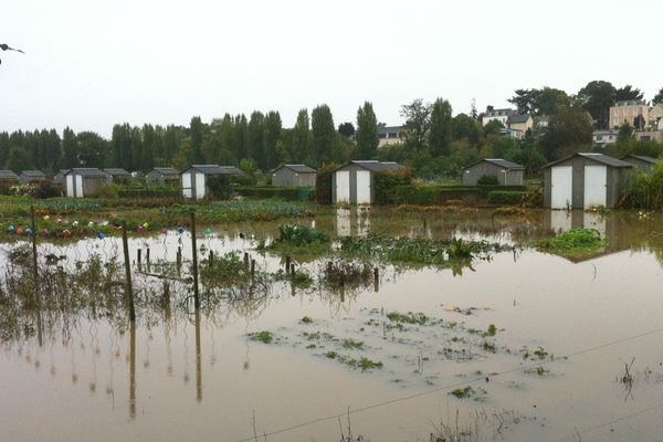 La pluie abondante a noyé les jardins familiaux de Château-Gontier