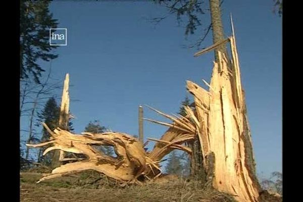 Au lendemain de la tempête dans le Pilat