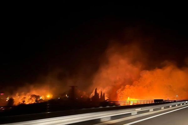 Le feu a parcouru dix hectares.