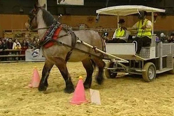 Au Salon de l'agriculture, un concours de maniabilité est organisé