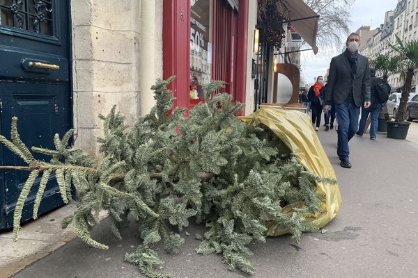 Abandonner son sapin de noël sur le trottoir est sanctionné de 135 euros d'amende.