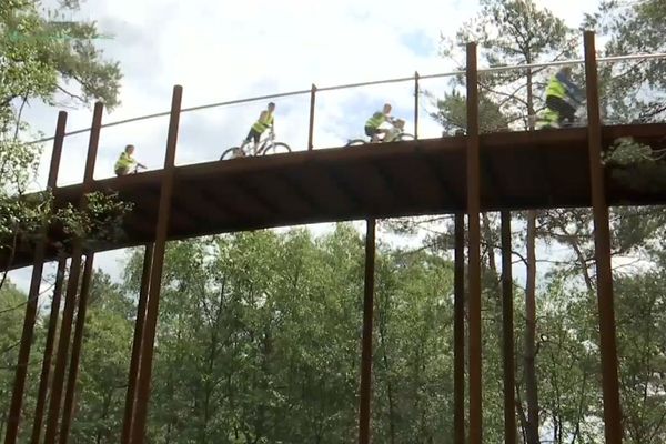 Un pont pour les vélos, pour presque toucher les arbres