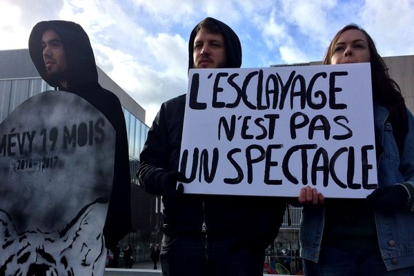 Des militants de la cause animale devant la cirque Bouglione au Mans, le 11 février 2018