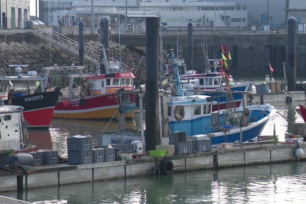 Avec le report de l'ouverture de la saison de pêche à la coquille Saint-Jacques, certains bateaux sont même restés à quai au port Chef de Baie à La Rochelle.