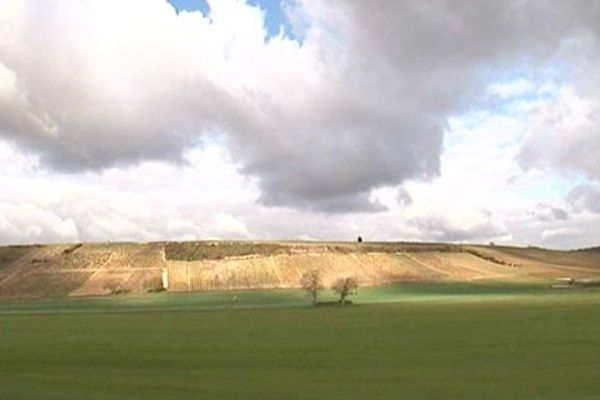 Paysage de Sancerre