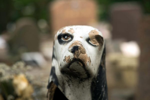 Cimetiere des chiens Asnieres sur Seine