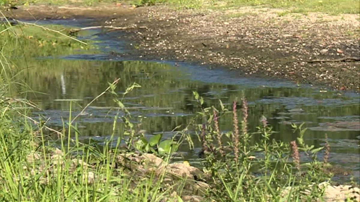 Arrêté prefectoral interdisant la pêche à l'aimant en Saône-et-Loire. ::  Les-nouvelles-du-val-d-arroux