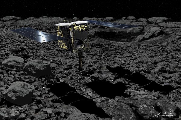 Des filaments bactériens observés sur des échantillons de l’astéroïde Ryugu par des scientifiques.