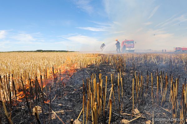 Alertés par des agriculteurs, les pompiers de l’Oise ont sauvé des dizaines d’hectares de cultures mardi 12 juillet à Luchy.