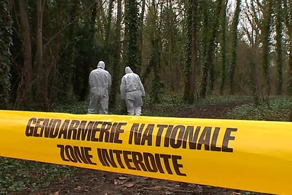 Dans la Marne, ils sont cinq sur le plateau technique à travailler avec du matériel de pointe. 