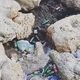 Les déchets s'accumulent au bord de la mer Méditerranée, sur cette photo, près du Mucem à Marseille. Ces plastiques ont un impact direct sur nous : ils renforcent le risque de maladies cardio-vasculaires.