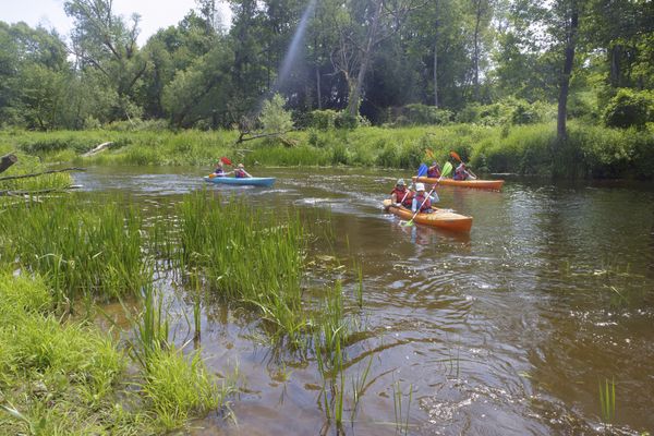 Une quarantaine de kayakistes ont  été confrontés à une ligne à haute tension de 25 000 volts lors d'une balade sur la Garonne à Portet-sur-Garonne, près de Toulouse (Haute-Garonne), ce samedi 5 octobre 2024. ils ont été secourus par les pompiers.