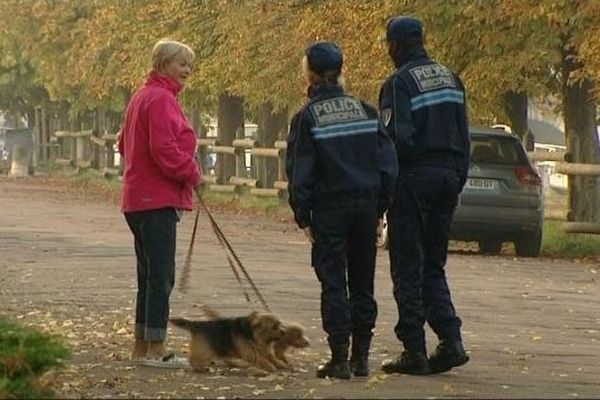 Les policiers municipaux patrouillent matin et soir sur les quais de l'Yonne