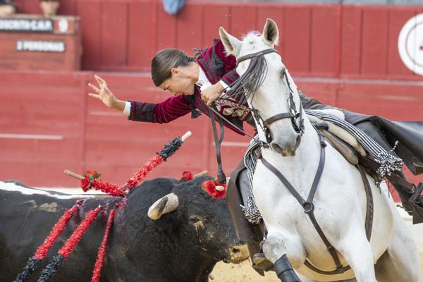 Léa Vicens lors de la corrida dimanche 16 octobre 2022 dans les arènes de Jaén ne Espagne.