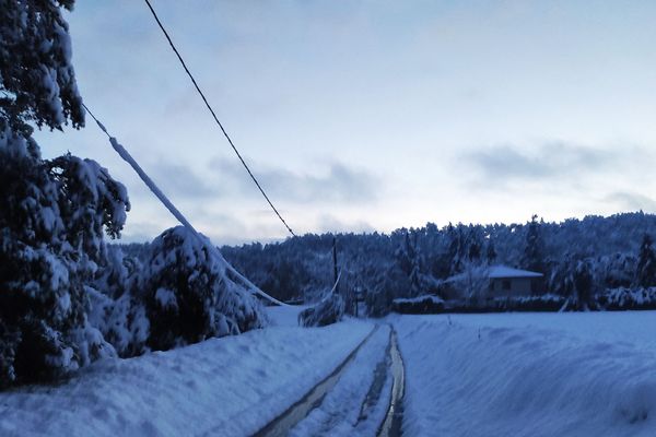 Éleveur de bovins et producteur de noix dans la Drôme, Jérôme a subit son troisième incident climatique depuis le mois de juin