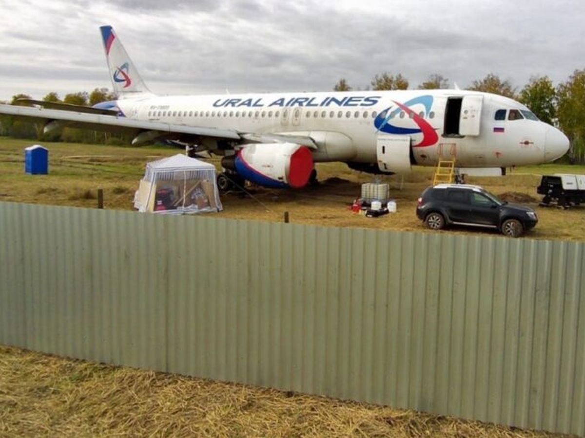 Gaillac, le nom du nouvel Airbus A220 d'Air France : on vous explique  comment la compagnie aérienne baptise ses appareils