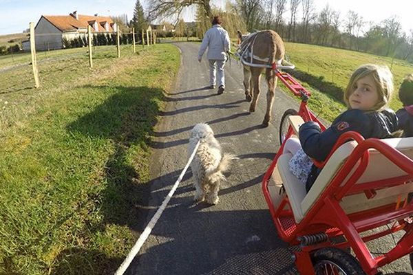 L'association HandiÂne, basée en Touraine, veut s'équiper pour que chacun puisse profiter des balades en pleine nature