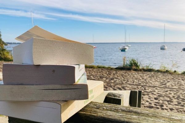 Le premier salon du livre de Lacanau ce samedi 9 novembre 2024 à Lacanau