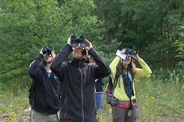 L'objectif du Grand Défi Biodiversité : inventorier 500 espèces d'oiseaux en une journée. 