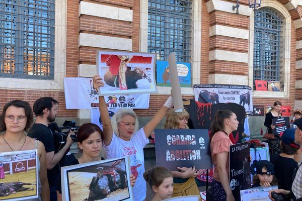 Une vingtaine de personnes ont manifesté, samedi 11 juin sur la place du Capitole à Toulouse; pour demander l'interdiction de la corrida.