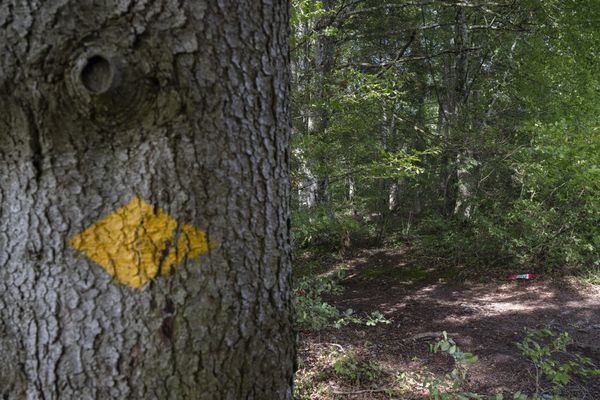 L'Américaine de 64 ans s'était ôté la vie le 23 septembre 2024 dans une forêt de Merishausen, près de Schaffhouse, à la frontière allemande.