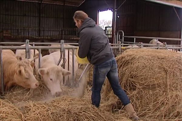 Une nouvelle menace pèse sur les éleveurs du Centre-Val de Loire