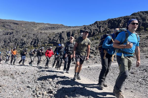 David Berty, atteint d'une sclérose en plaque, se lance dans l'ascension du Kilimandjaro avec 14 autres compagnons de route. Une aventure à retrouver dans le documentaire "XV pour un sommet".