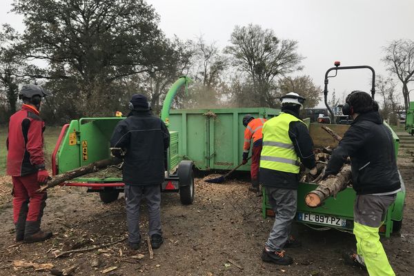 Pendant une semaine, six personnes condamnées à des Travaux d'intérêt général ont nettoyé un bois de Saint-Cyr-sur-Loire en Indre-et-Loire.