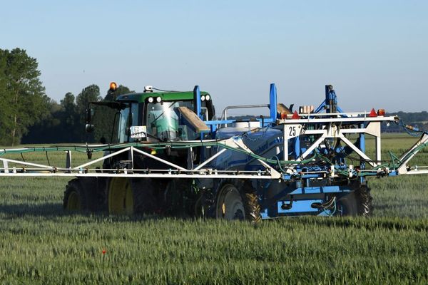 Un champ de céréales en cours de traitement aux pesticides  