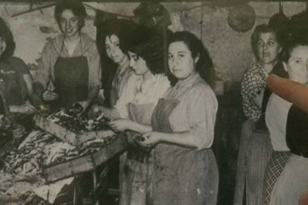 La famille Roque : plusieurs générations consacrées à la salaison de l'anchois, à Collioure