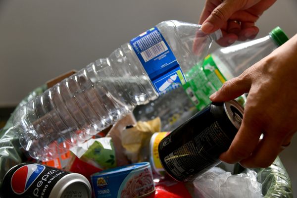 Bouteilles de soda et d'eau jetées. En moyenne sur Roubaix, une famille 'zéro déchet', jette moins et économise 1 000 euros de courses par an.