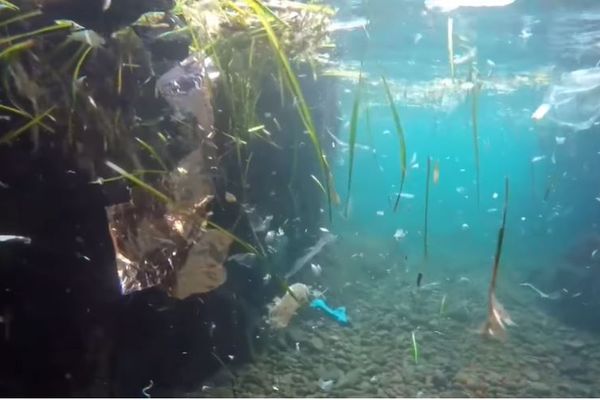 Au milieu des fragments de plastique au Trayas.