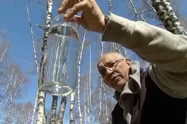 Christophe Vidal en pleine récolte de sève de bouleau à Saint-Juéry, en Lozère - 22 mars 2016